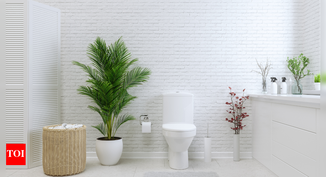 Poopular Science: AI toilets get to the bottom of your gut health