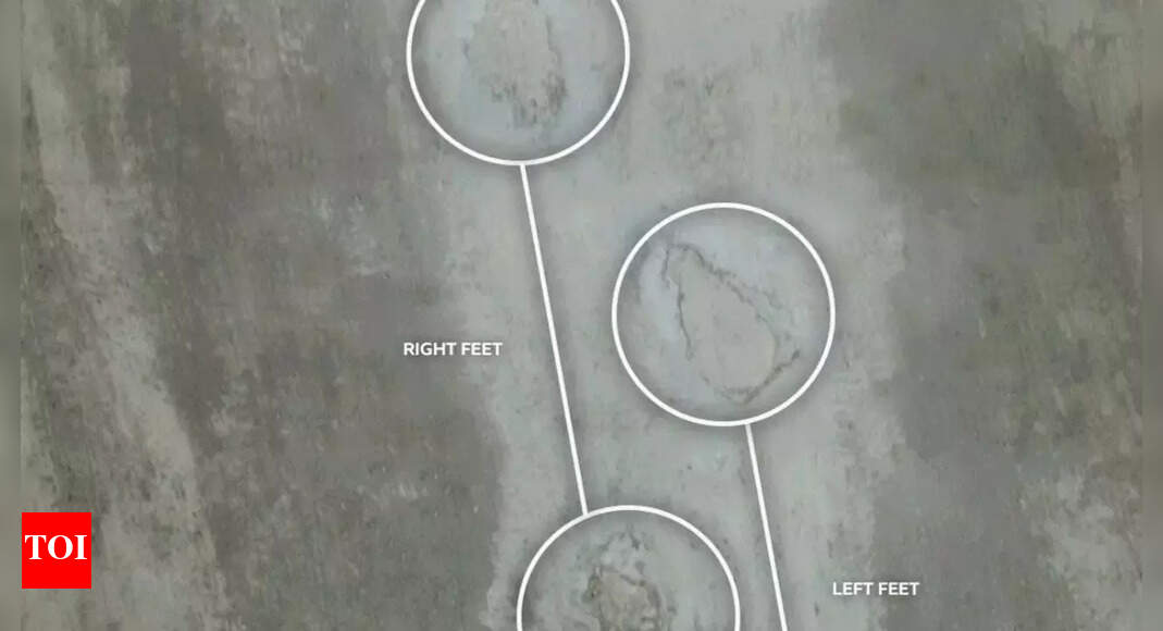 166-million-year-old dinosaur footprints unearthed in Oxford quarry revealing Jurassic giants |