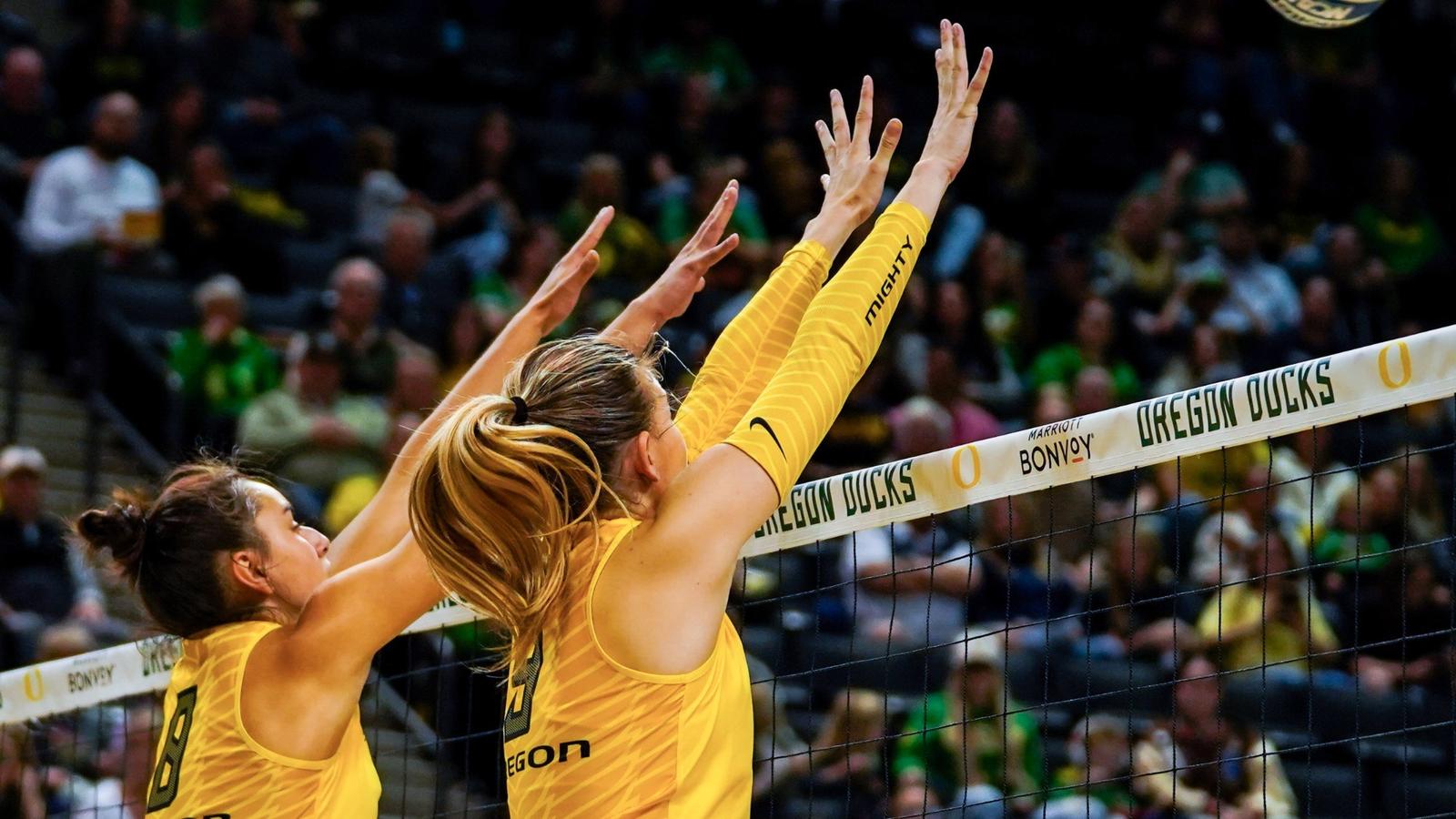 Ducks Fall in Four to No. 17 Penn State