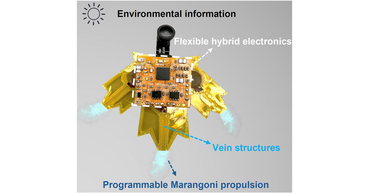 Smart aquabots bring camouflage and environmental sensing to life