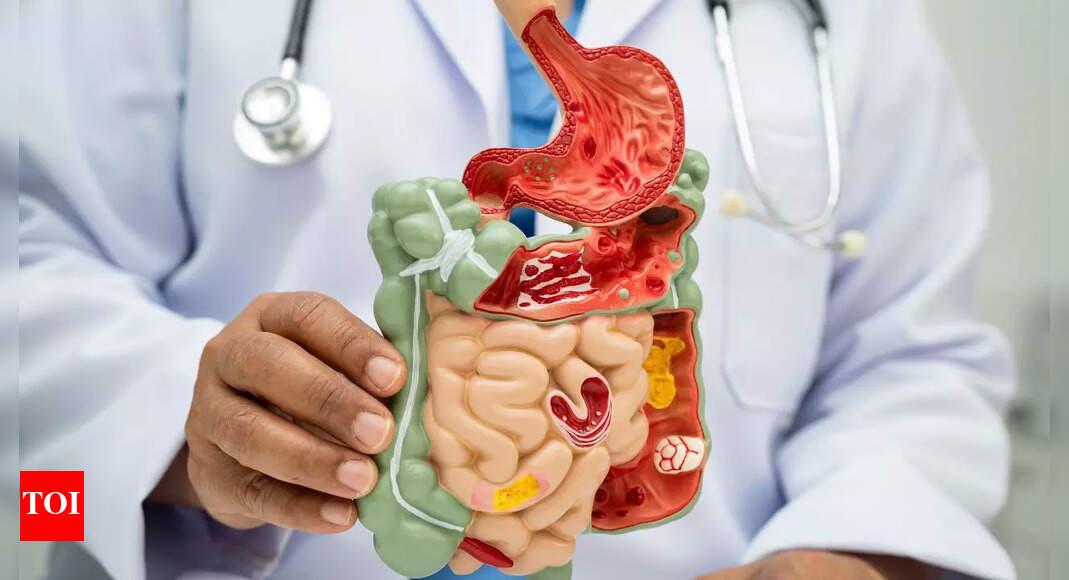 Gastroenterologist reveals 9 everyday foods that could boost digestion, immunity, and mood |
