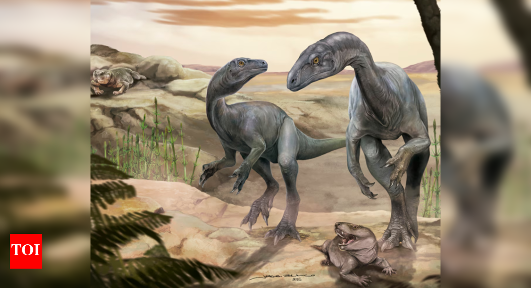 One of a kind: 230-million-year-old rare headless dinosaur fossil found, dating back to the Triassic period