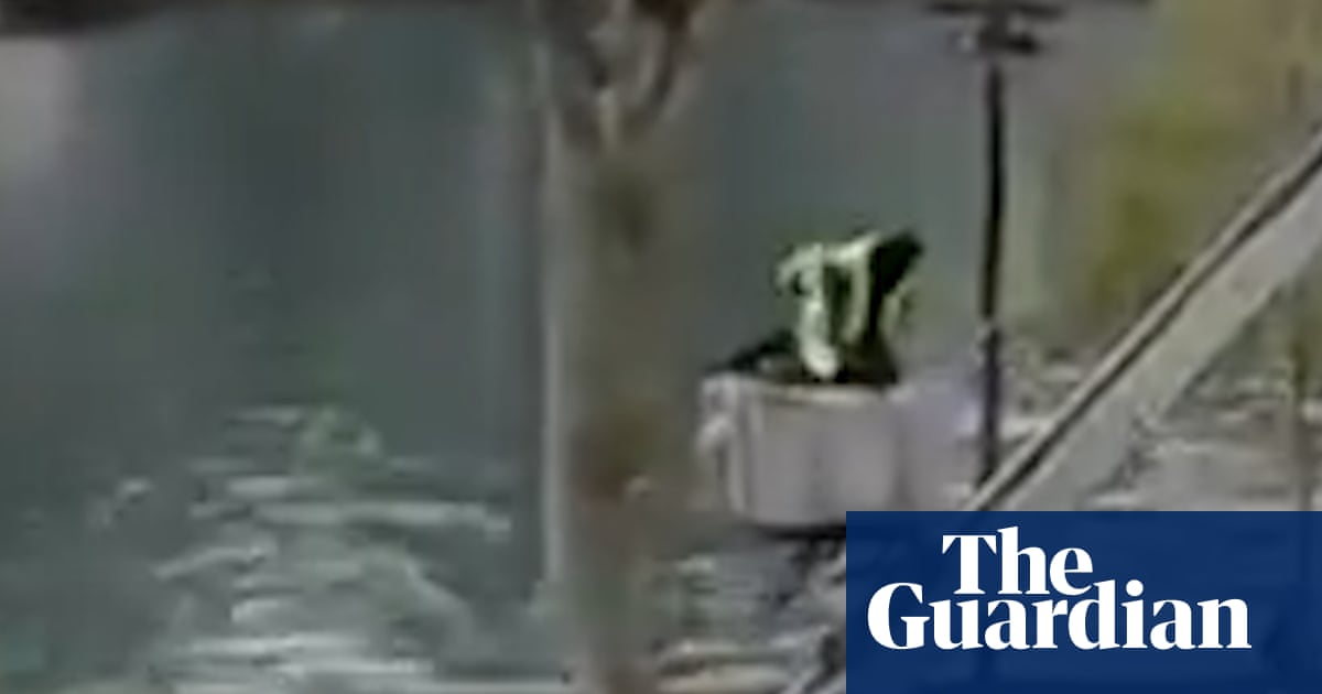 Louvre thieves’ slow-motion getaway using furniture lift was caught on video | France