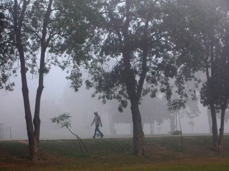 Pakistan Meteorological Department warns of rising smog across Punjab, threatening health and visibility