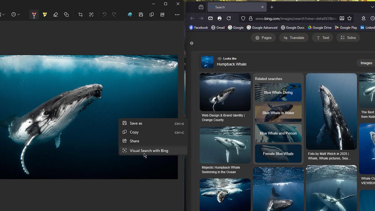 Windows 11’s Snipping Tool just got a Google Lens-like feature – here’s how to use it