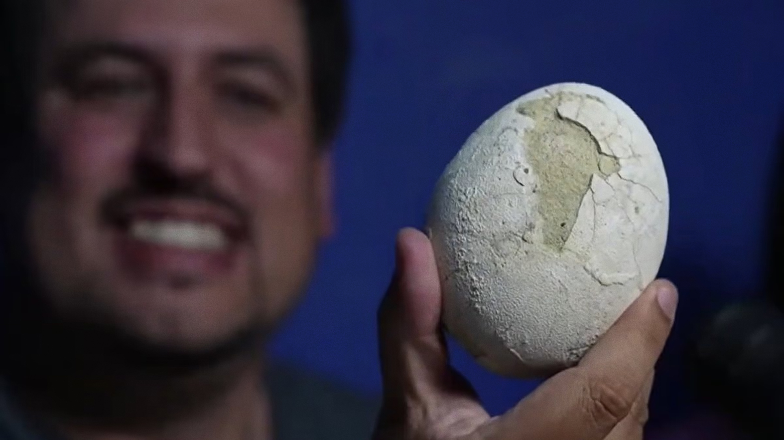 Pristine 70-Million-Year-Old Dinosaur Egg Found in Argentina Could Hold Rare Embryo
