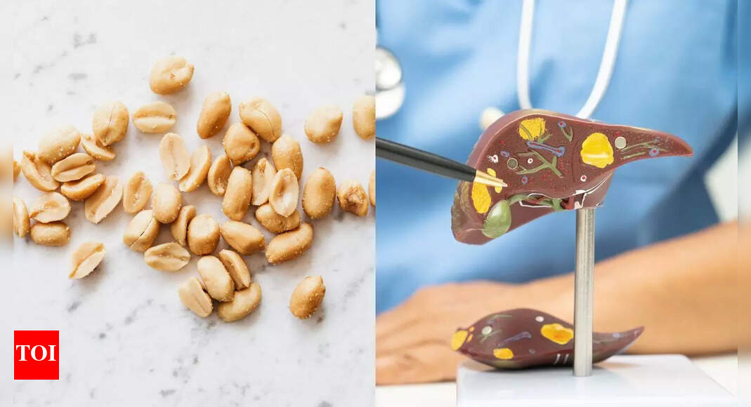 Peanuts can cause liver damage when contaminated with aflatoxins: Know the hidden dangers and prevention tips |