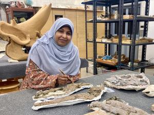 Earliest long-snouted fossil crocodile from Egypt reveals the African origins of seagoing crocs