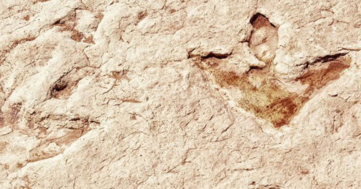 Dinosaurs Stomping on Deep-Time Dogma