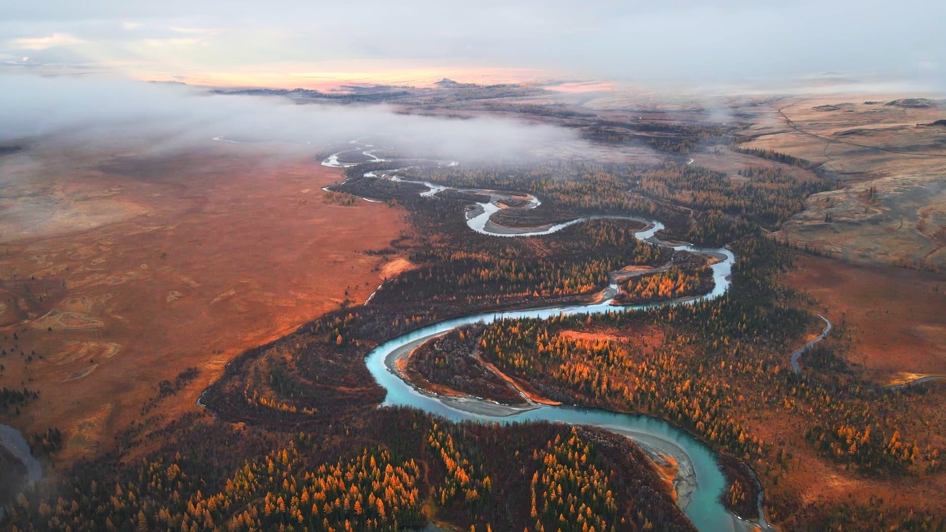 Petrol and the risk of cancer : Clyde & Co