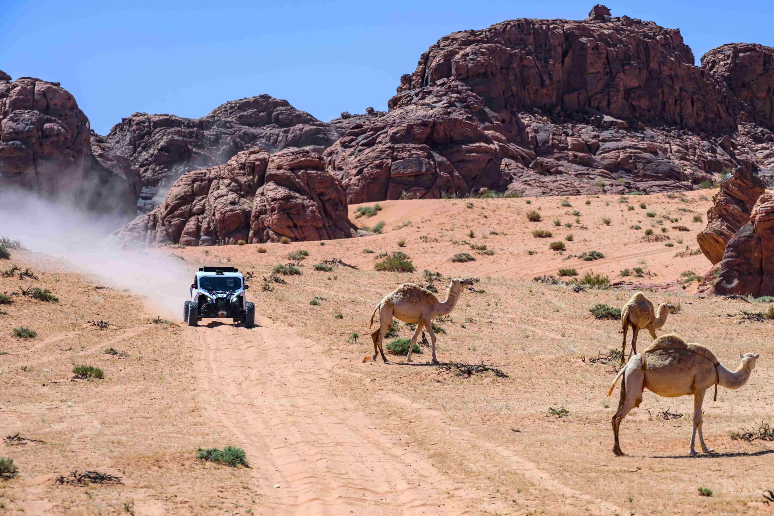 Qatar hosts the Lusail-based penultimate round of the FIA World and Middle East Baja Cups