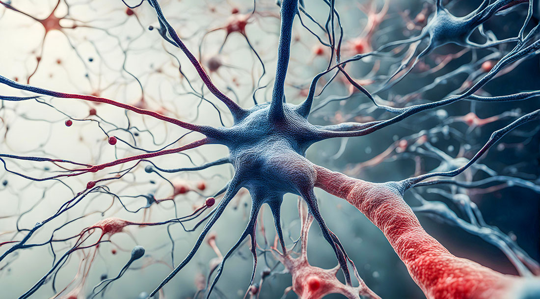 Common Genetic Causes Across Motor Neuron Diseases Identified