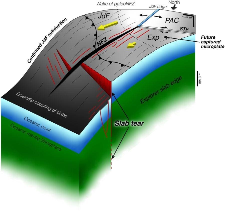 Scientists Observe The ‘Death’ Of A Tectonic Plate For The First Time