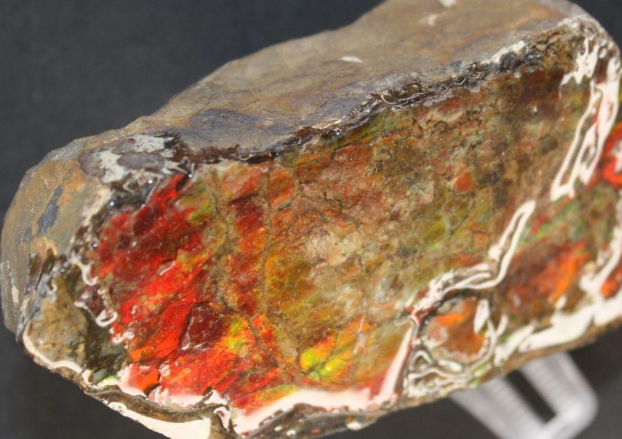 New Study Reveals Secrets Behind The Vibrant Colors Of Ammolite Gemstone