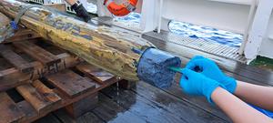 Fats provide clues to life at its limits in the deep sea