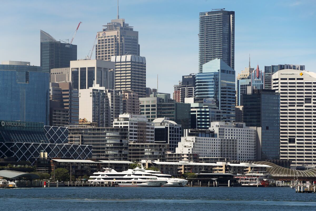 Steadfast Shares Plunge as CEO Stands Aside Amid Investigation