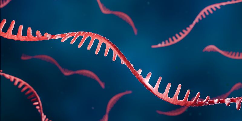 Advancing mRNA purification: strategies for speed, consistency, and scalability