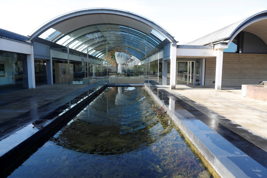 Seed bank in England marks 25 years of preserving plant diversity