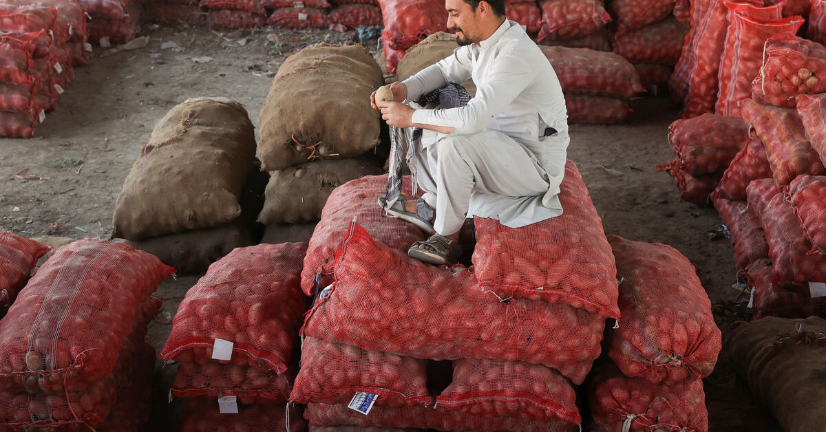 Pakistan-Afghanistan border closures push up prices of essentials such as tomatoes