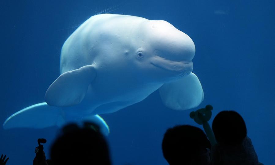 Chinese scientists use AI protein language model to uncover mystery of life evolution-Xinhua
