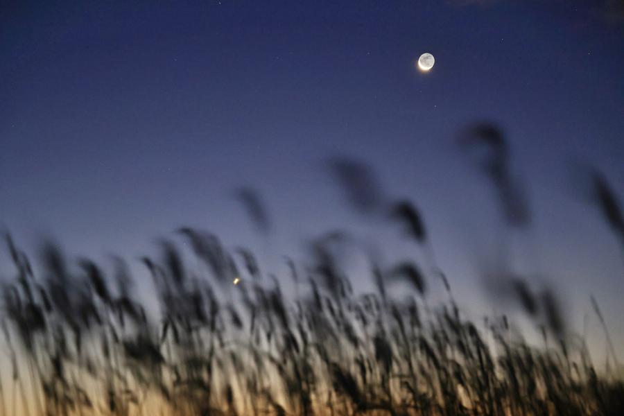 Celestial spectacle of Venus appearing next to the moon-Xinhua