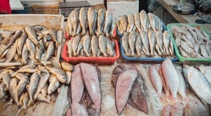 Pakistan’s Seafood exports to China Surge in First Three Quarters of 2025-INP