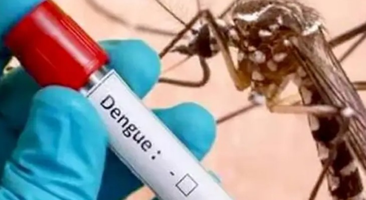 31 new dengue cases reported in ICT-INP