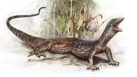 Brennan Stokkermans A painting showing what the reptile might have looked like. It is lizard-like and has its toothy mouth open wide. It is in an area of vegetation.