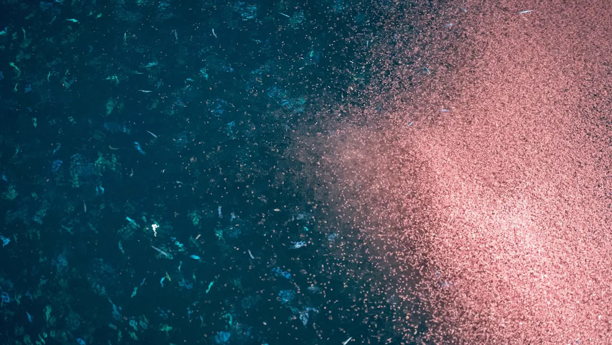 Scientists stunned after discovering new superpower of critical marine species — here’s what they found