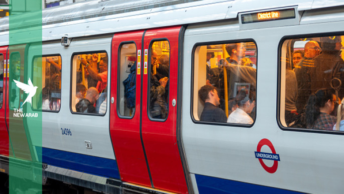 London Underground mosquito’s origins traced to ancient Egypt