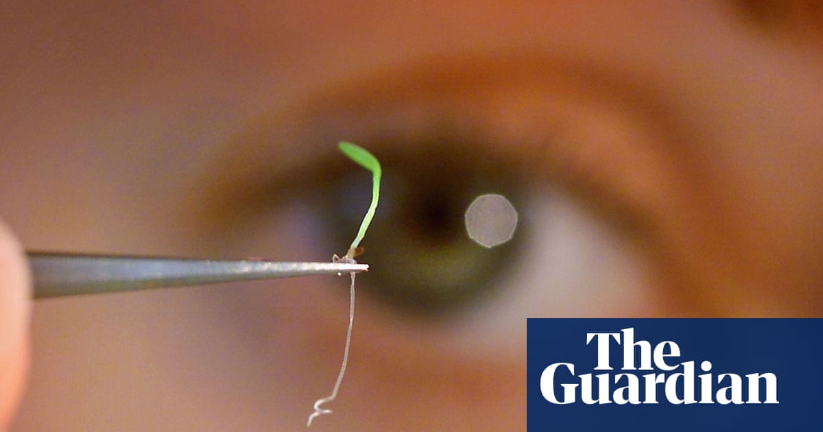 The seed bank storing the planet’s future – podcast | Science