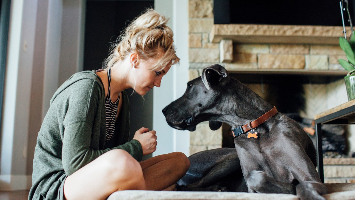 Can old dogs teach us new tricks to understand human ageing? – The Times