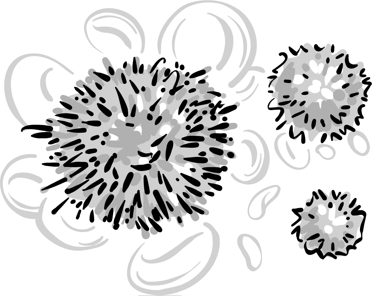 Omacetaxine and Venetoclax Show Benefits in MDS, No Improvement in AML | Targeted Oncology