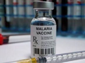 Zambia Rolls Out Malaria Vaccine for 500,000+ Children