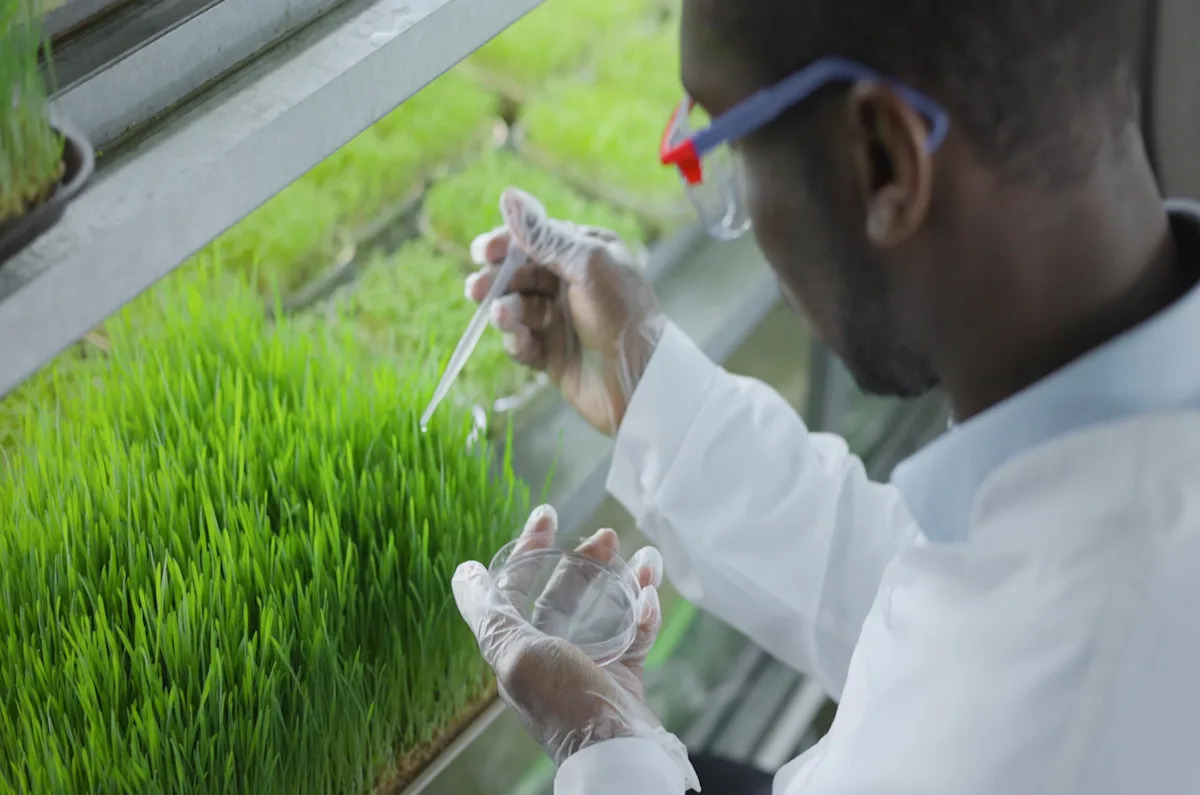 Scientists make game-changing discovery that could help protect global food supply: ‘Molecular scissors’