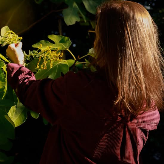 A Long Island woman had the telltale symptoms of chikungunya: fever and joint pain so severe that it made walking difficult and driving impossible. The mosquito-borne disease is rarely seen in the U.S. – facebook.com
