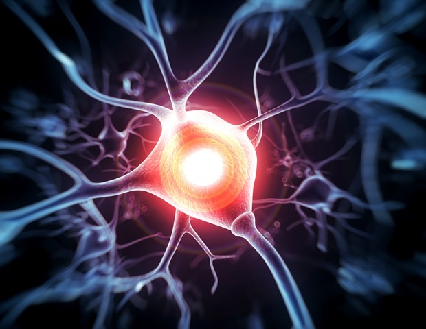 Advancements in organoids could transform treatment of spinal cord injury and peripheral nerve injury