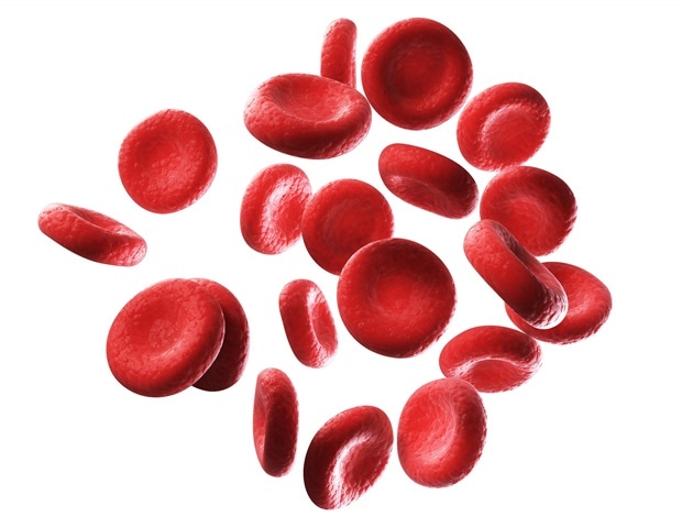 Lab-grown embryo models mimic natural formation of blood and heart cells