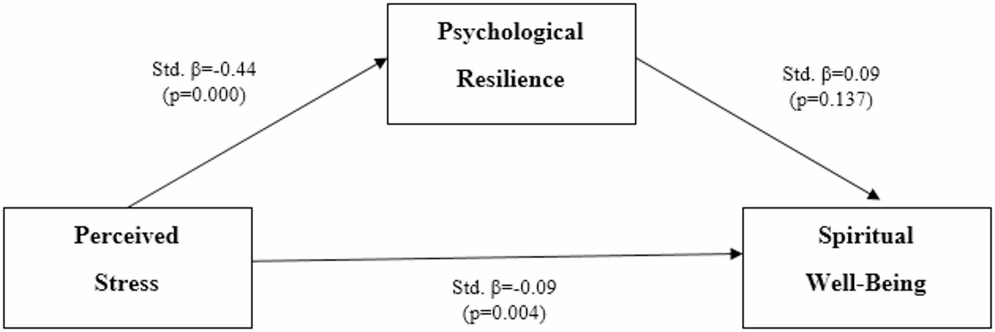 A study on women in Turkish culture: the mediating role of psychological resilience in the association between perceived stress and spiritual well-being | BMC Psychology