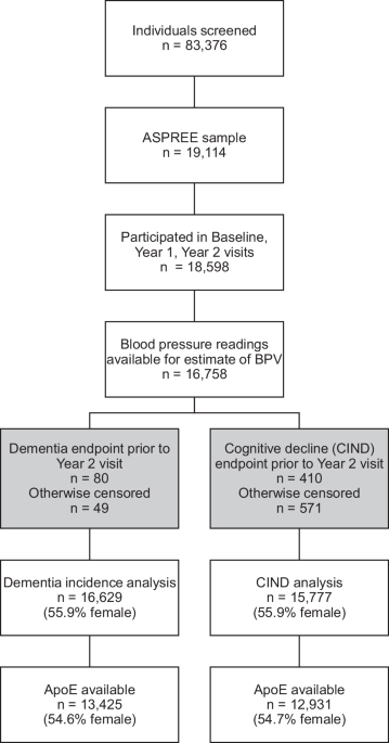 Late-life, visit-to-visit blood pressure variability and its association with sex-specific long-term cognitive outcomes