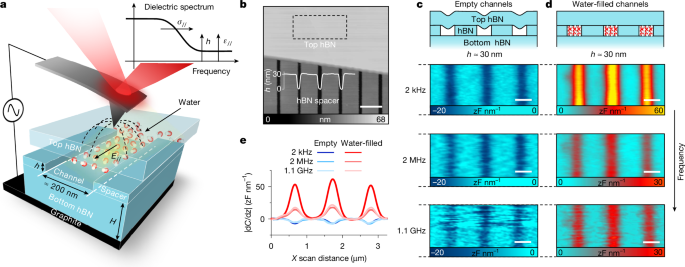 In-plane dielectric constant and conductivity of confined water