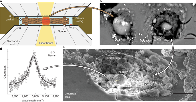 Building wet planets through high-pressure magma–hydrogen reactions