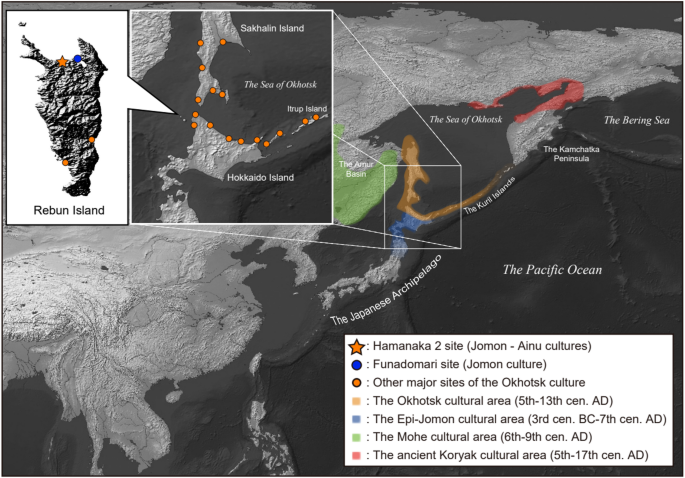 Genome of an early Okhotsk individual reveals ancient admixture between Jomon and Kamchatka lineages