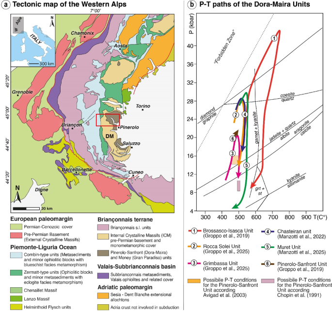 Buried, not erased: palynofloras in ultra-high-pressure metamorphic rocks