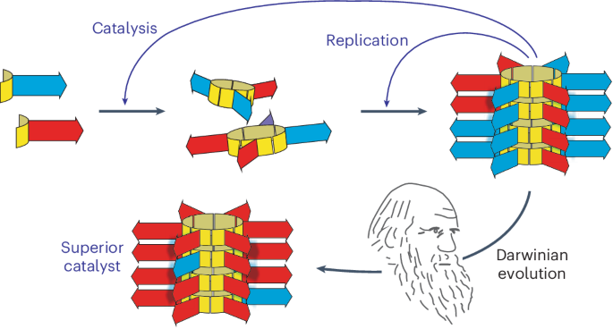 Selection for photocatalytic function through Darwinian evolution of synthetic self-replicators