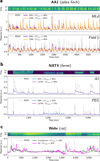 Temporal recurrence as a general mechanism to explain neural responses in the auditory system