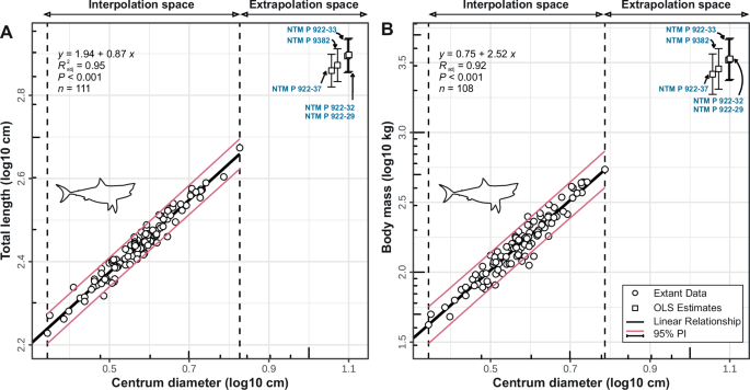 Early gigantic lamniform marks the onset of mega-body size in modern shark evolution