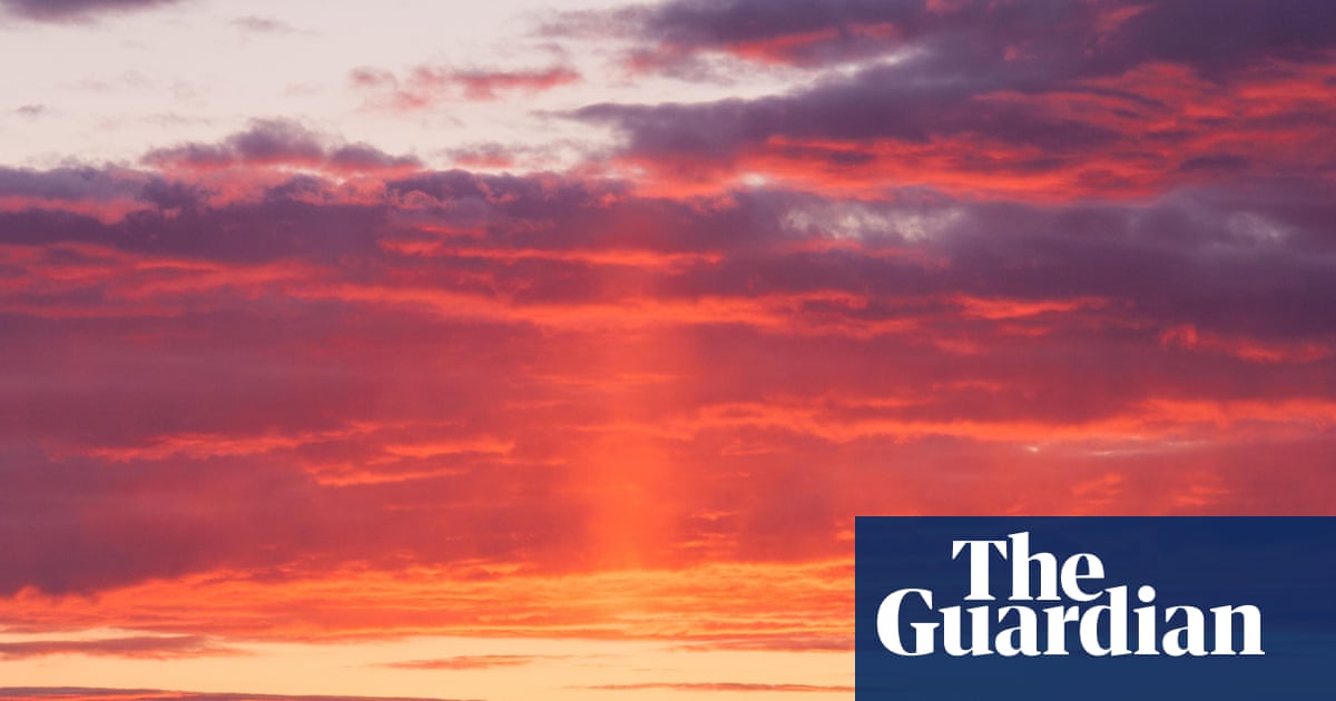 Greenpeace threatens to sue crown estate for driving up cost of offshore wind | Energy industry