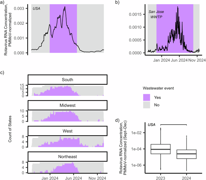 Wastewater concentrations of rotavirus RNA are associated with infection and vaccination metrics in the USA