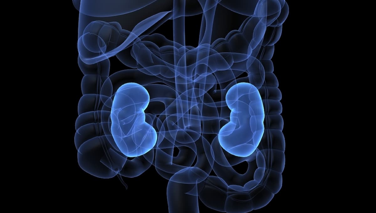 Fruquintinib Combo Prolongs PFS in Advanced/Metastatic RCC